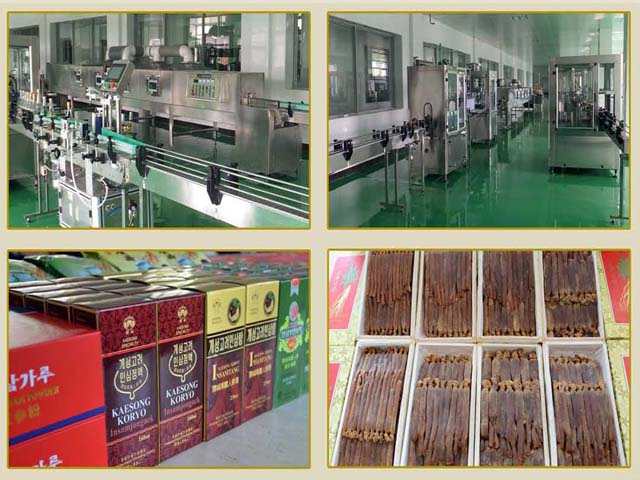 Korea Kaesong Koryo Insam Trading Corporation