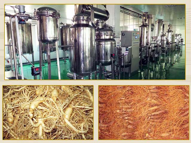 Korea Kaesong Koryo Insam Trading Corporation