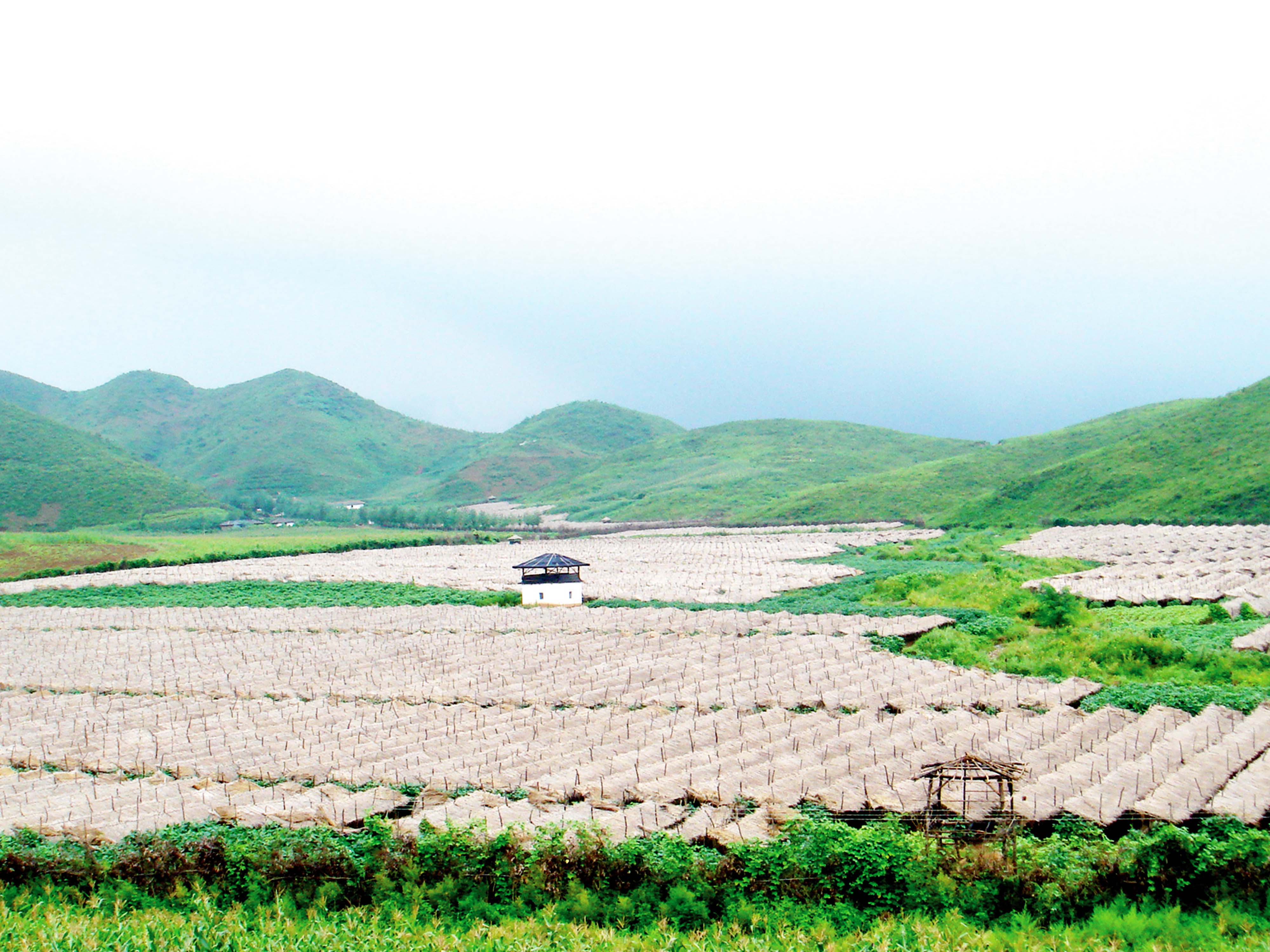 Korea Jangsu Trading Corporation
