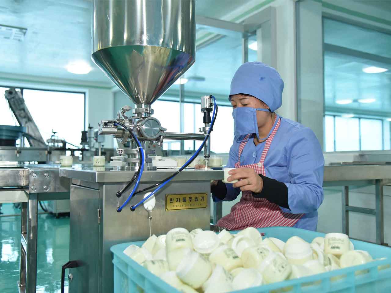 Pyongyang Cosmetics Factory