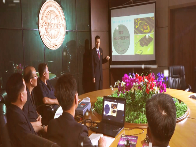 Внешнеторговая компания Мирэ