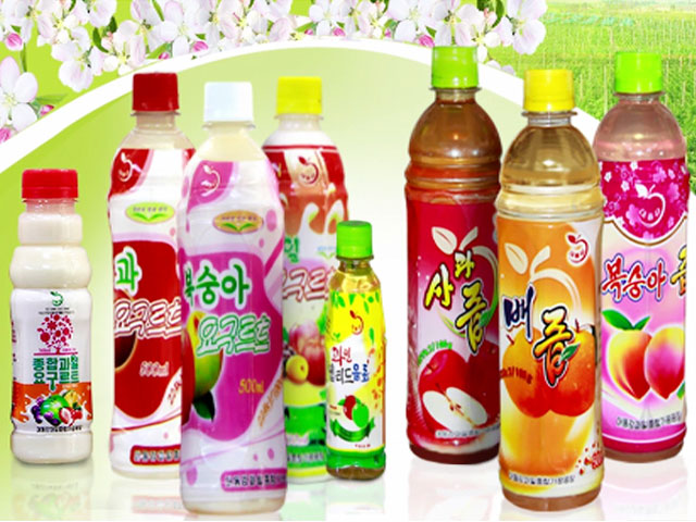 Taedonggang Combined Fruit Processing Factory