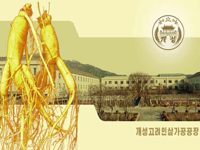 개성고려인삼가공공장
