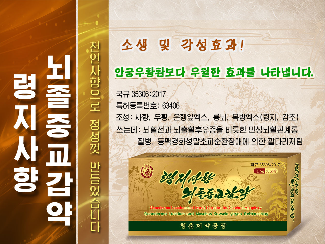 灵芝四香脑卒中胶囊