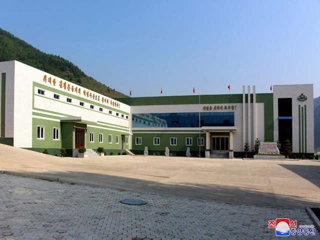 Production of Koryo Medicine Doubles in DPRK