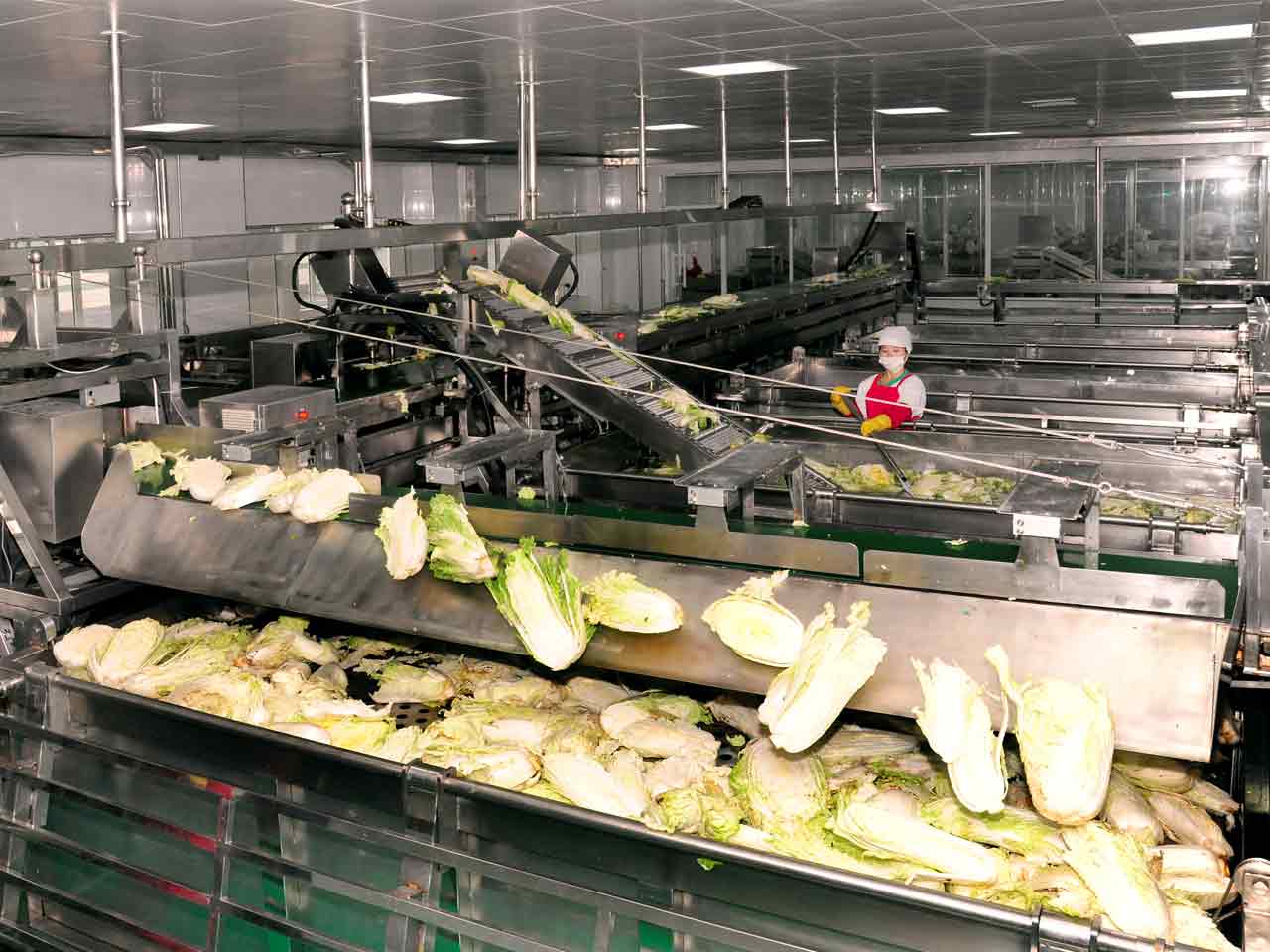 Ryugyong Kimchi Factory