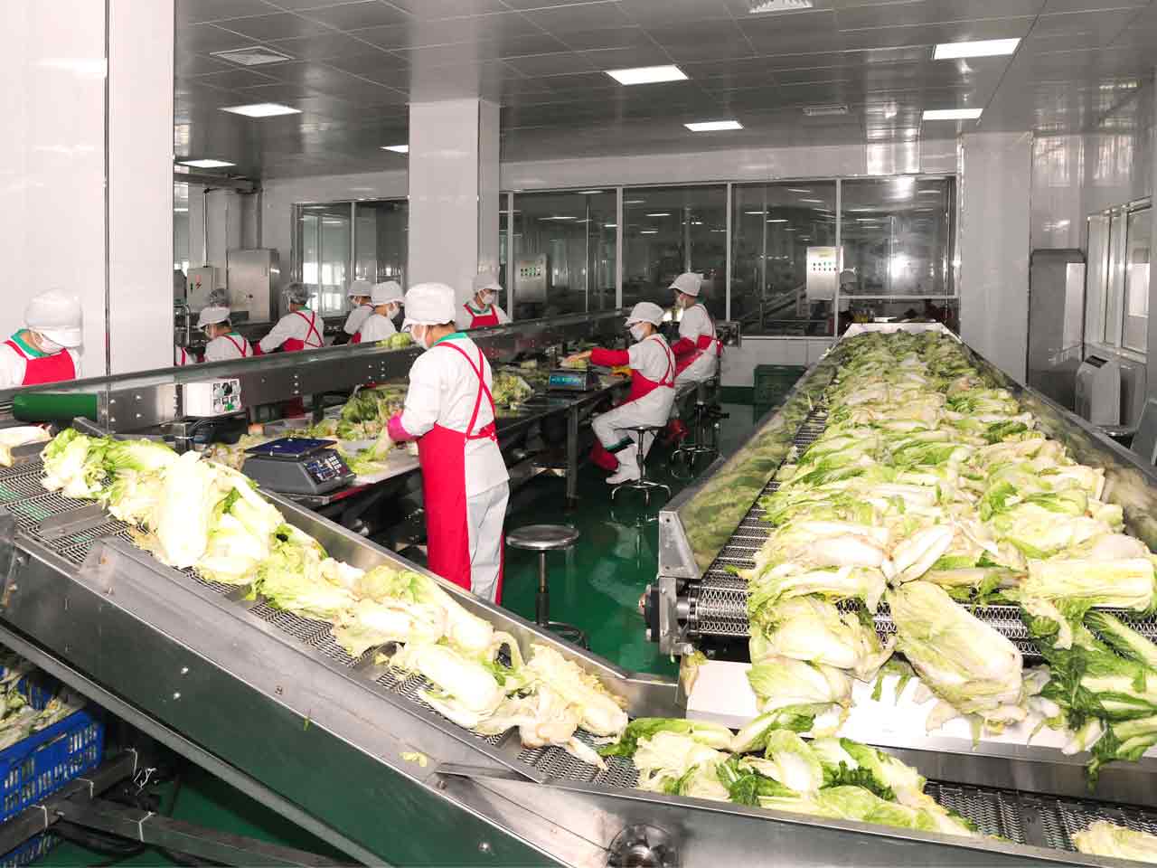 Ryugyong Kimchi Factory