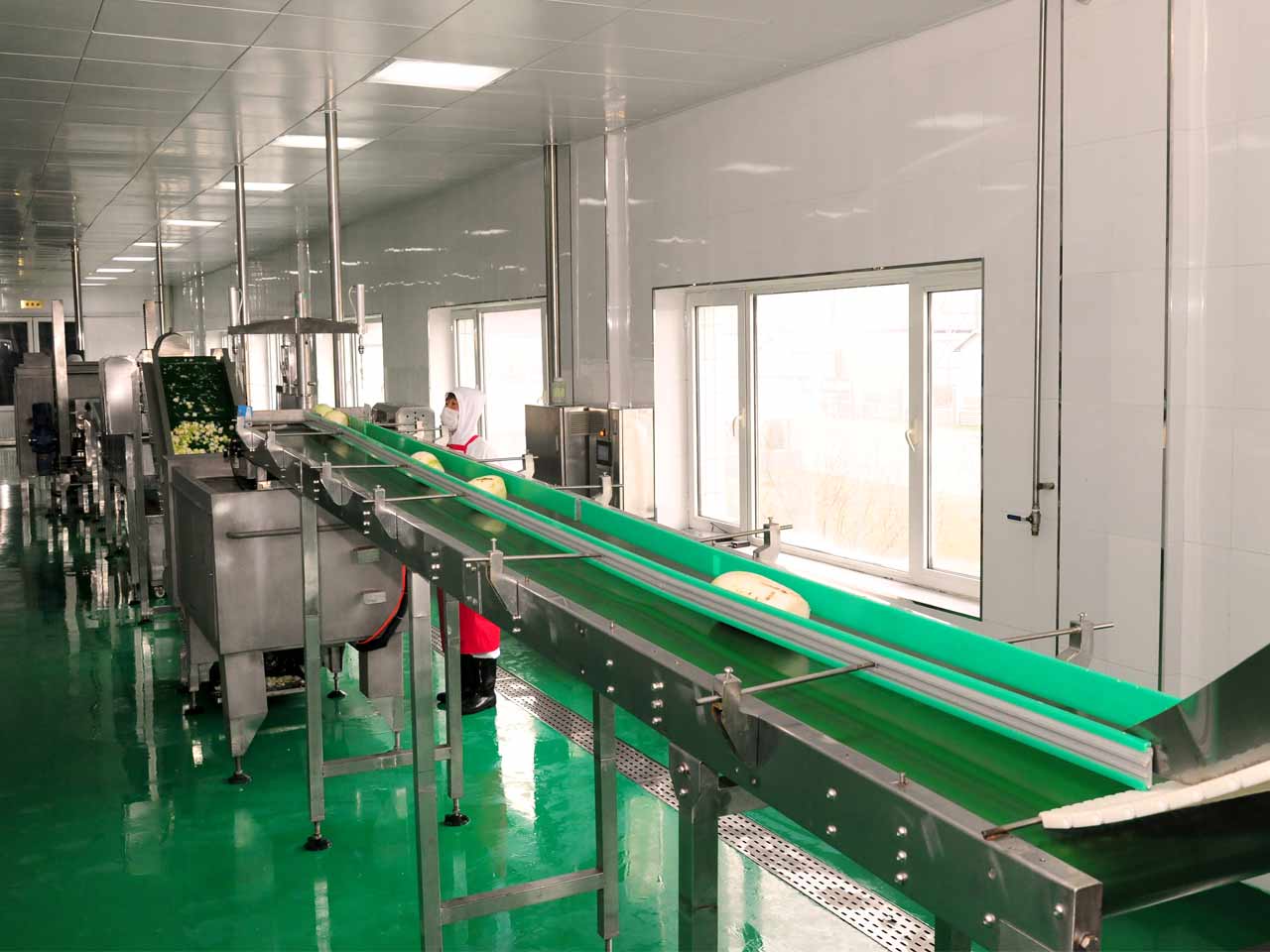 Ryugyong Kimchi Factory