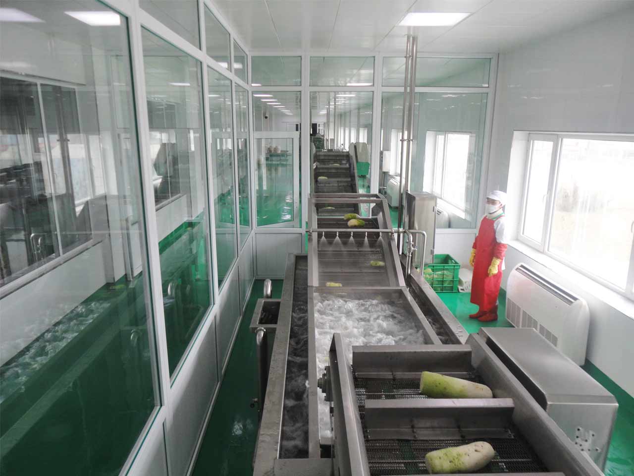 Ryugyong Kimchi Factory