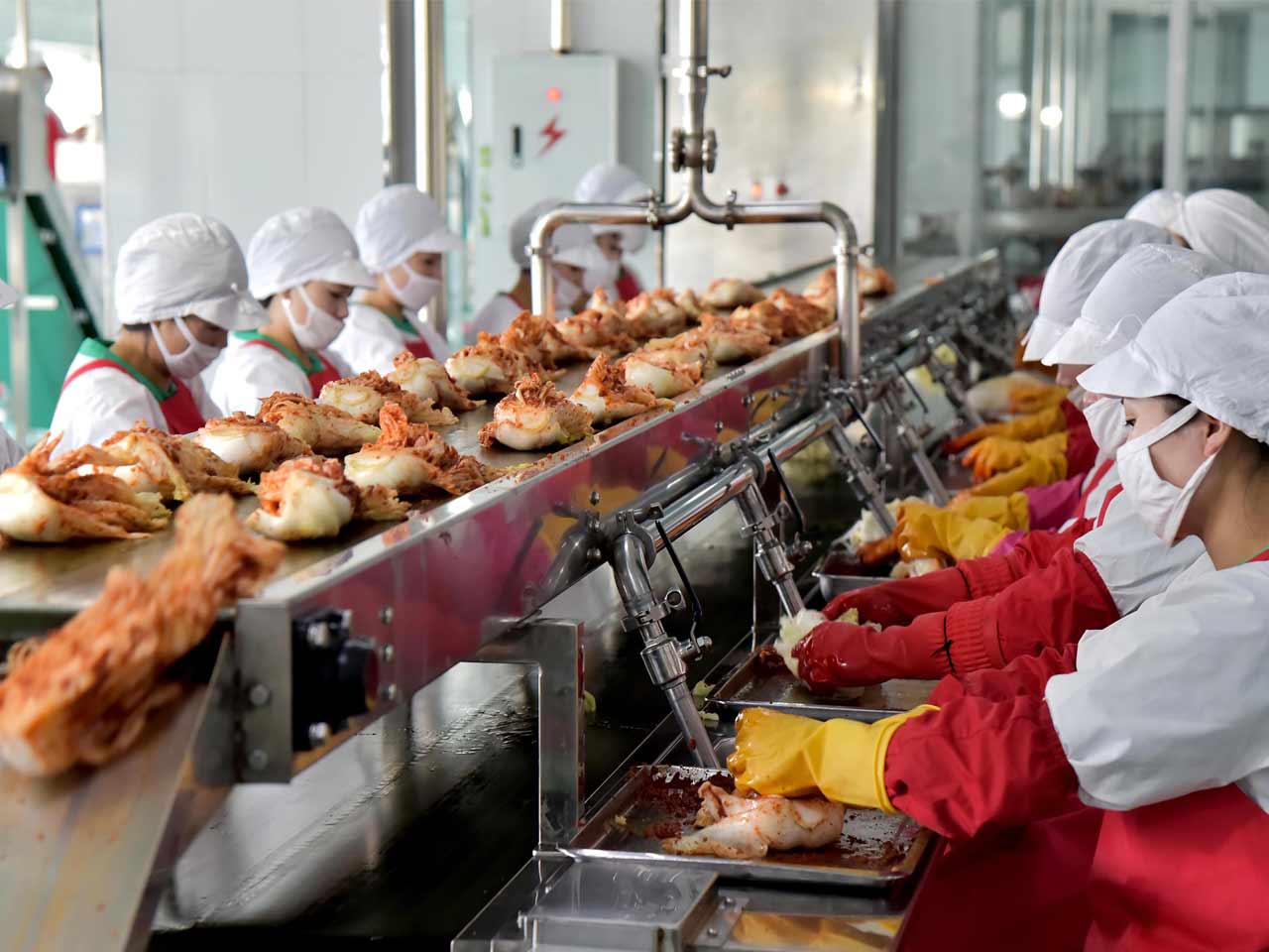 Ryugyong Kimchi Factory