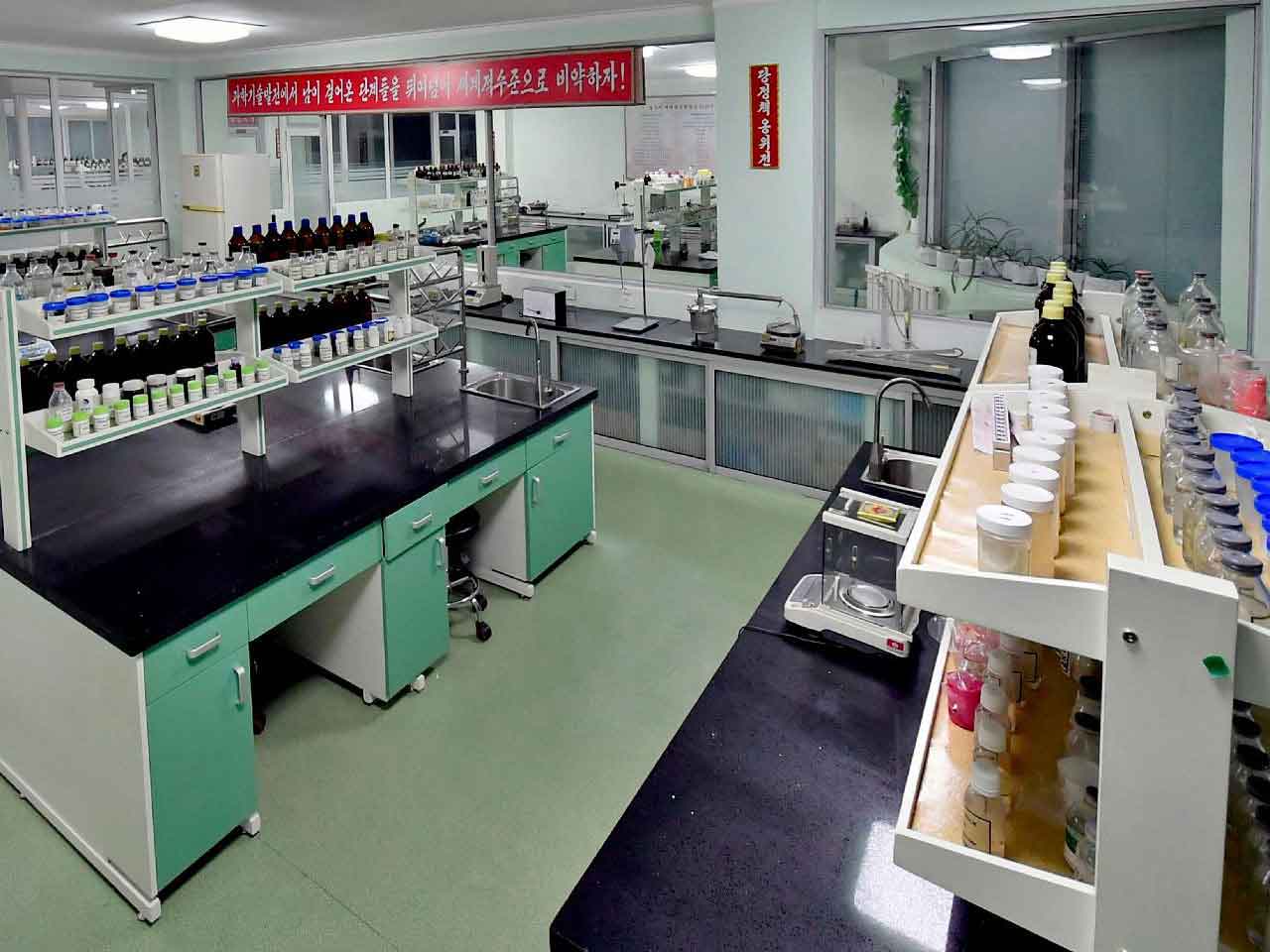 Pyongyang Cosmetics Factory