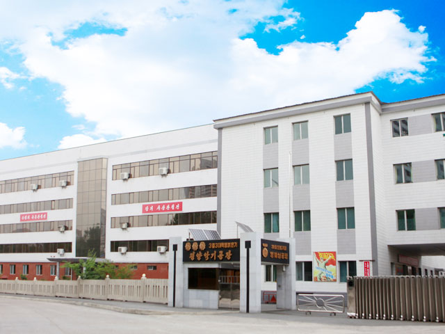 Pyongyang Musical Instrument Factory