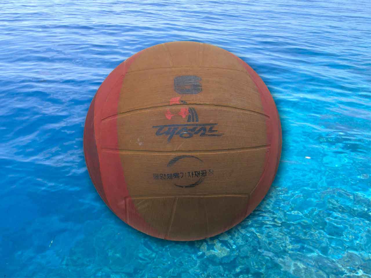 Water polo Ball