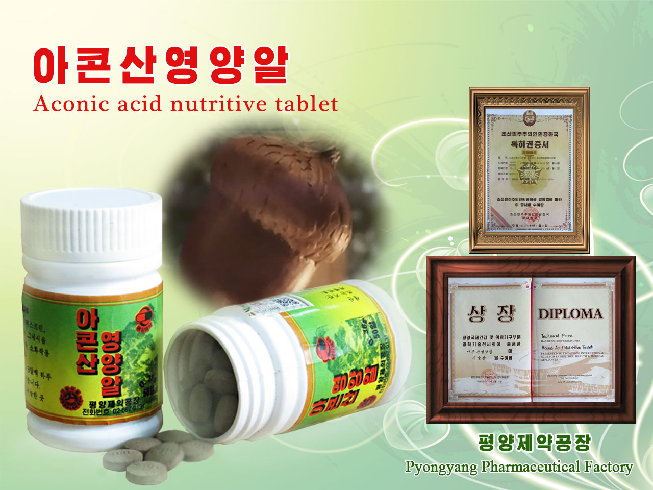 Natural antibiotics – Aconic acid nutritive tablet