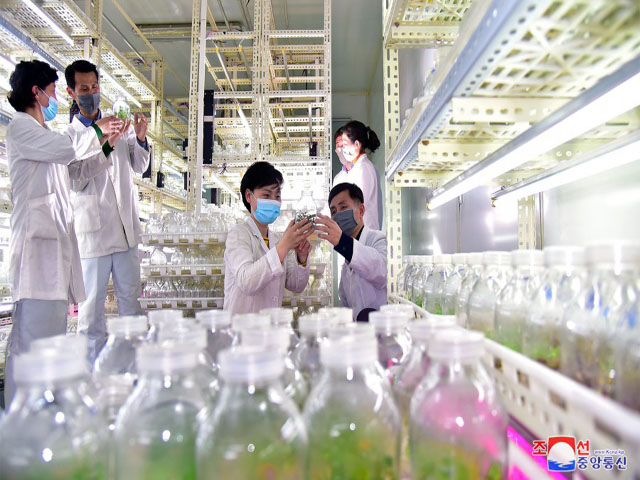 Bioengineering Branch in DPRK